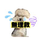 ナラファミリー30（個別スタンプ：4）