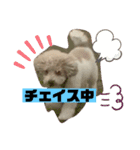 ナラファミリー30（個別スタンプ：8）