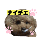 ナラファミリー30（個別スタンプ：9）