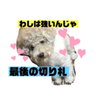 ナラファミリー30（個別スタンプ：10）
