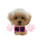 ナラファミリー30（個別スタンプ：14）