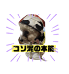 ナラファミリー30（個別スタンプ：16）