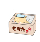 もちもちもちた2（個別スタンプ：1）