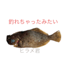 釣れちゃったみたい（個別スタンプ：1）