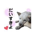 ラッキーと一緒❤️（個別スタンプ：7）