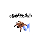 若タオルだ（個別スタンプ：21）