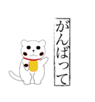 まるねこの日常（個別スタンプ：13）