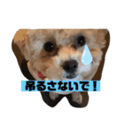 ナラファミリー28（個別スタンプ：2）