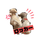 ナラファミリー28（個別スタンプ：3）