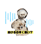 ナラファミリー28（個別スタンプ：4）