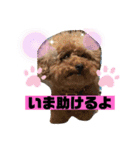 ナラファミリー28（個別スタンプ：5）