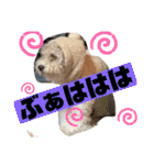 ナラファミリー28（個別スタンプ：8）