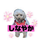 ナラファミリー28（個別スタンプ：10）
