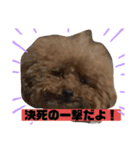 ナラファミリー28（個別スタンプ：11）