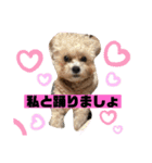 ナラファミリー28（個別スタンプ：14）