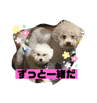 ナラファミリー28（個別スタンプ：15）
