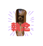 ナラファミリー28（個別スタンプ：16）
