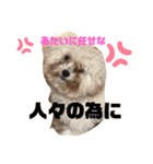 ナラファミリー28（個別スタンプ：19）