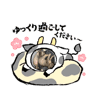 保護猫 ＆ COCO❹（個別スタンプ：2）