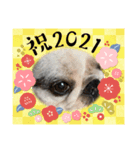 アレク犬2021新年ご挨拶version（個別スタンプ：2）