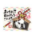 アレク犬2021新年ご挨拶version（個別スタンプ：3）