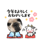 アレク犬2021新年ご挨拶version（個別スタンプ：6）