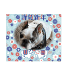アレク犬2021新年ご挨拶version（個別スタンプ：7）