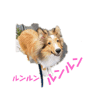 麦茶2（個別スタンプ：10）