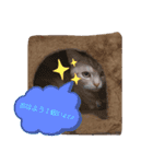 みるくここあ！のスタンプ8（個別スタンプ：1）