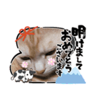 みるくここあ！のスタンプ8（個別スタンプ：2）