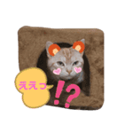 みるくここあ！のスタンプ8（個別スタンプ：6）