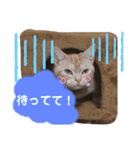 みるくここあ！のスタンプ8（個別スタンプ：9）