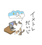 スノボねこ（個別スタンプ：4）