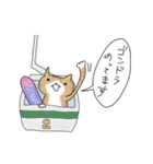 スノボねこ（個別スタンプ：12）