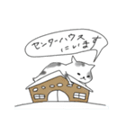 スノボねこ（個別スタンプ：15）