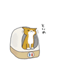 スノボねこ（個別スタンプ：27）