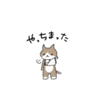 スノボねこ（個別スタンプ：38）