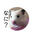 三郎です（個別スタンプ：3）
