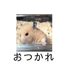 三郎です（個別スタンプ：5）
