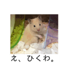 三郎です（個別スタンプ：6）
