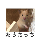 三郎です（個別スタンプ：11）