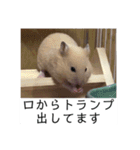 三郎です（個別スタンプ：12）