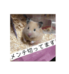 三郎です（個別スタンプ：13）