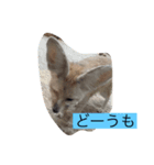 動画スタンプABC（個別スタンプ：4）