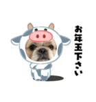 お年玉狙いブラザーズ（個別スタンプ：1）