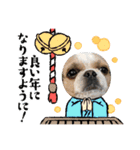お年玉狙いブラザーズ（個別スタンプ：3）