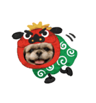 お年玉狙いブラザーズ（個別スタンプ：4）