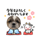 お年玉狙いブラザーズ（個別スタンプ：5）