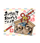 お年玉狙いブラザーズ（個別スタンプ：8）