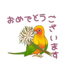 メキシコインコスタンプ（個別スタンプ：2）